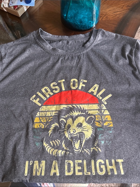 Tops - Grey Graphic Tee "First of All I'm a Delight" with Opossum Design